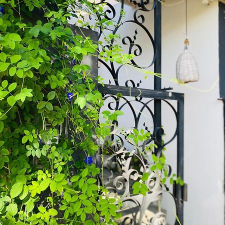 Casa Elsa Pipa Apartment Praia de Pipa Ngoại thất bức ảnh