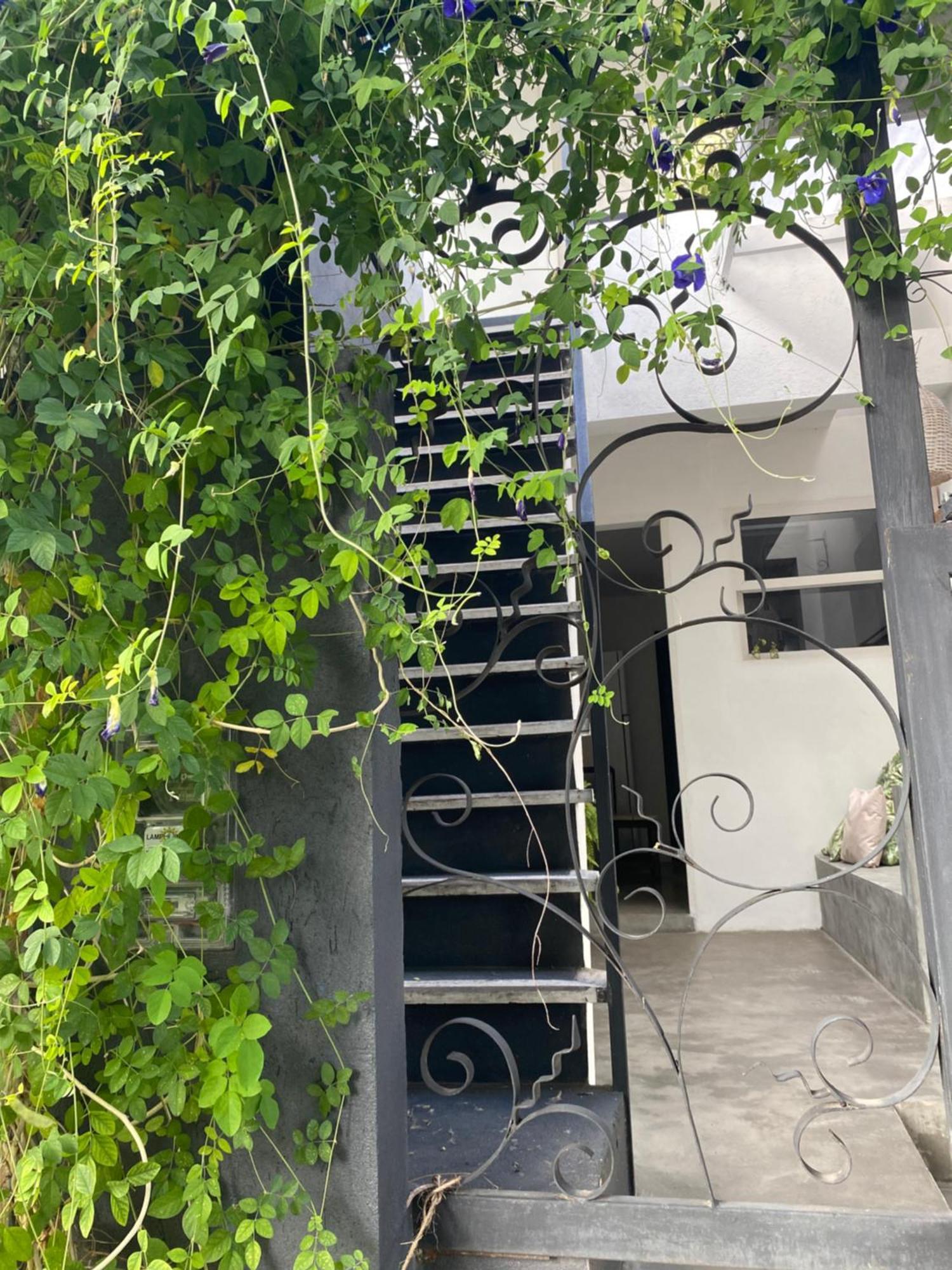 Casa Elsa Pipa Apartment Praia de Pipa Ngoại thất bức ảnh