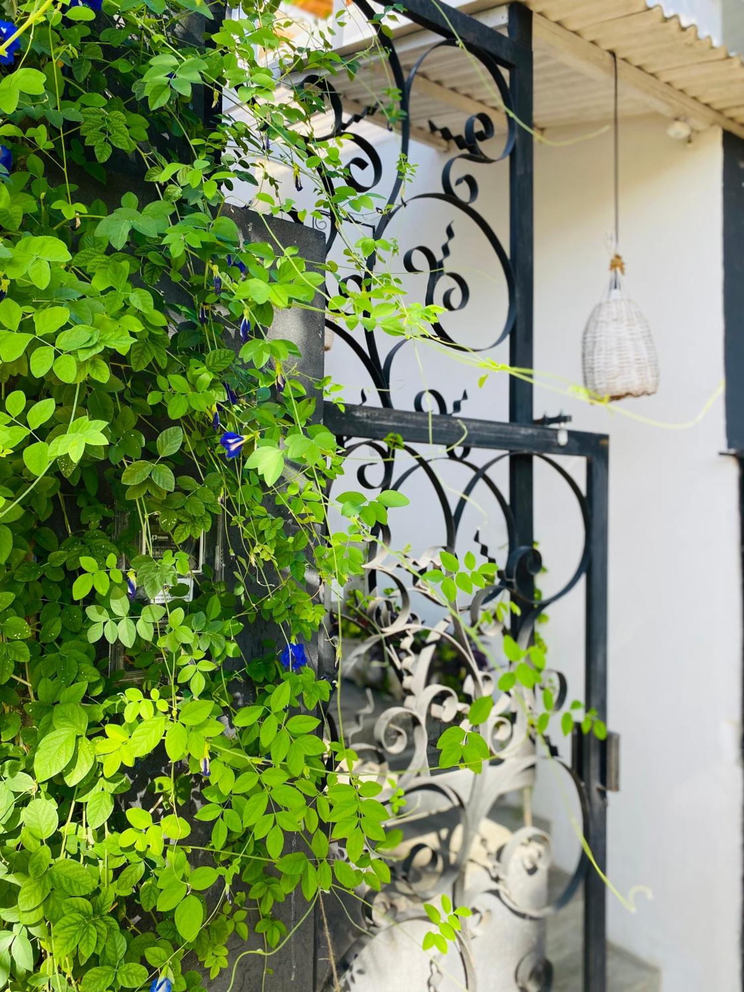 Casa Elsa Pipa Apartment Praia de Pipa Ngoại thất bức ảnh